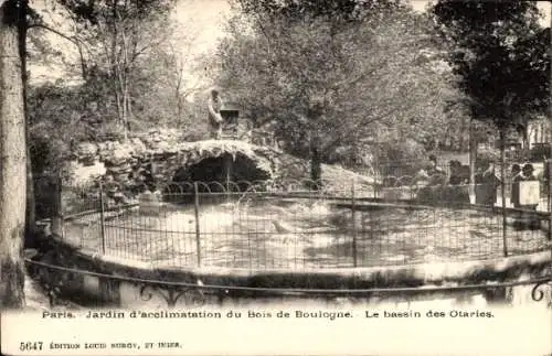 Ak Paris XVI, Jardin d'Acclimatation, Le bassin des Otaries