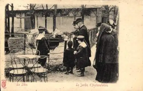 Ak Paris XVI, Jardin d'Acclimatation, Le Zébu