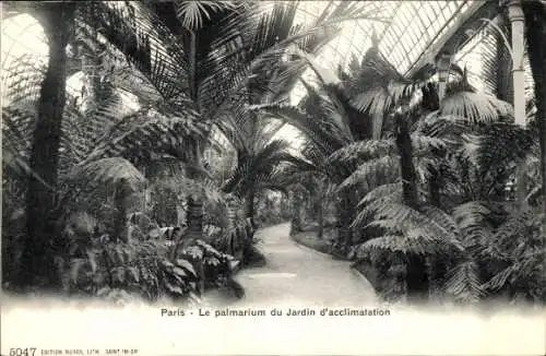 Ak Paris XVI, Jardin d'Acclimatation, Le palmarium du Jardin d'acclimatation