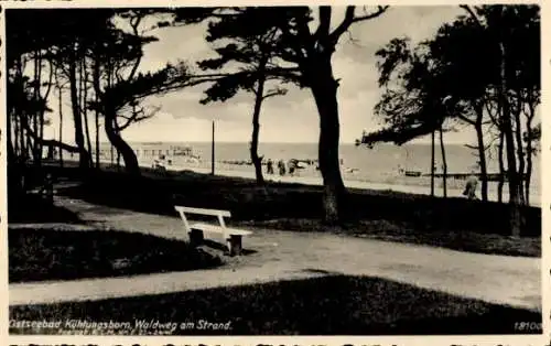 Ak Ostseebad Kühlungsborn, Ostseebad  Waldweg am Strand