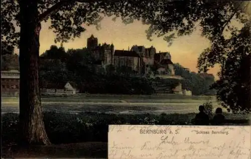 Ak Bernburg an der Saale, Vorderseite: Schloss  zwei Personen stehen am Ufer der Saale und bet...