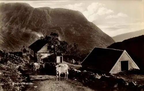 Ak Norwegen, Erwerbszweige, Rindviehherde im Eistal bei Bergen