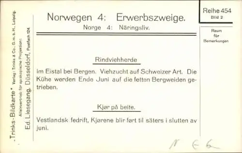 Ak Norwegen, Erwerbszweige, Rindviehherde im Eistal bei Bergen