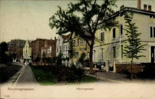 Ak Recklinghausen im Ruhrgebiet, Herzogswall