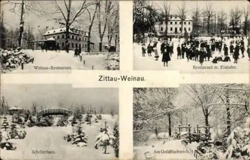 Ak Zittau in Sachsen, Weinau-Restaurant, Eisbahn, Schillerhain, Goldfischteich