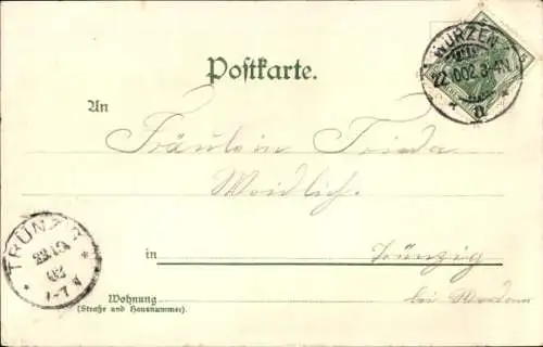 Litho Wurzen in Sachsen, Wettinerplatz, Schloss, Marktplatz, Gruß aus  Künstler-Postkarte