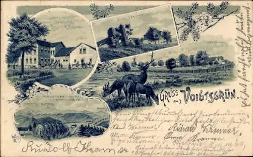 Litho Voigtsgrün Hirschfeld in Sachsen, Trautners Gasthof, Zum Jägerhorn, Tiergarten