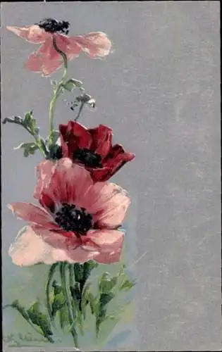 Künstler Ak Klein, C., Mohn, Blumen