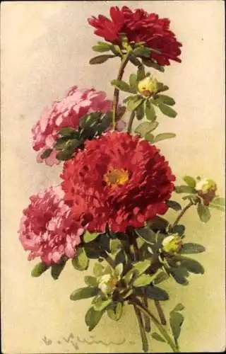 Künstler Ak Klein, C., Blühende Blumen, Knospen