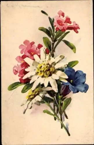 Künstler Ak Klein, Catharina, Blumenstrauß, Margeriten