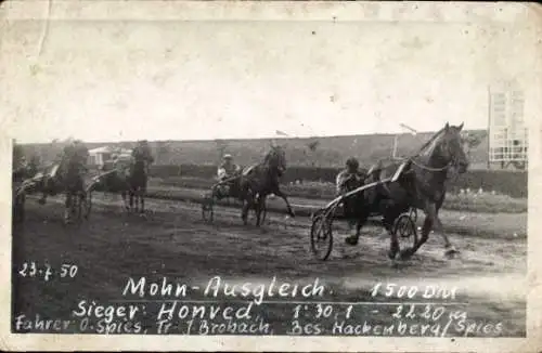 Foto Ak Pferderennsport, Streitwagen, Teilnehmer, Sieger Honved