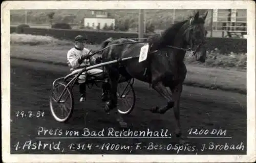 Foto Ak Pferderennsport, Streitwagen, Preis von Stadt Reichenau, Sieger Astrid