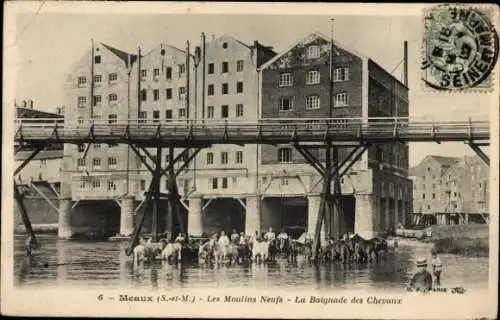 Ak Meaux Seine et Marne, Les Moulins Neufs, La Baignade des Chevaux