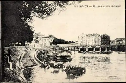 Ak Meaux Seine-et-Marne, Baignade des chevaux