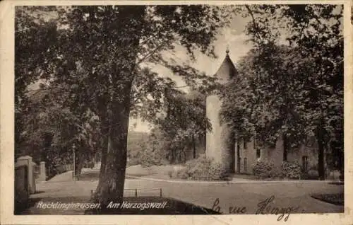 Ak Recklinghausen im Ruhrgebiet,  Am Herzogswall