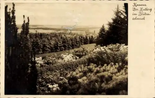 Ak Kamenz in Sachsen, Blick vom Hutberg auf Kamenz