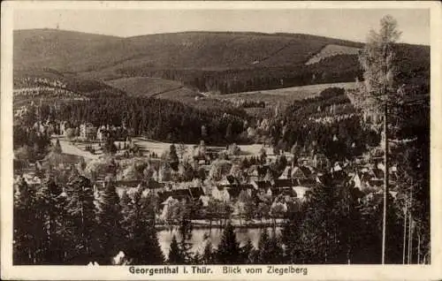 Ak Georgenthal in Thüringen, Blick vom Ziegelberg, Georgenthal in Thüringen