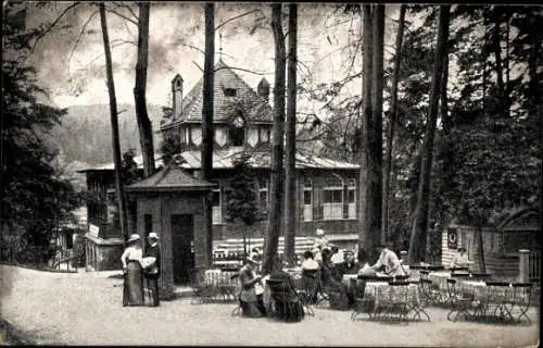 Ak Bad Elster im Vogtland, Café Waldquelle