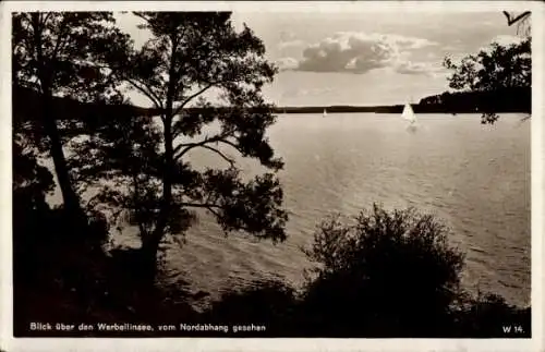 Ak Altenhof Schorfheide am Werbellinsee, Blick über den  vom Nordabhang gesehen