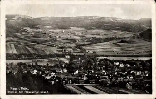 Ak Plaue in Thüringen, Blick in den Plaueschen Grund