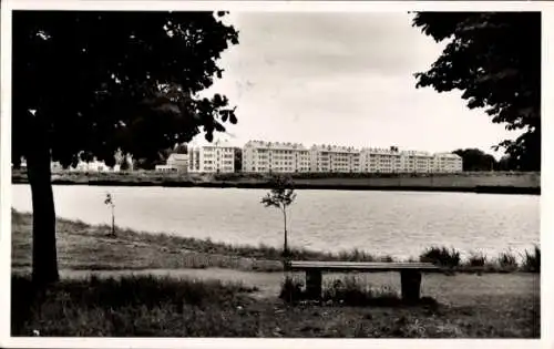 Ak Gießen an der Lahn Hessen, Ringallee, Schwanenteich