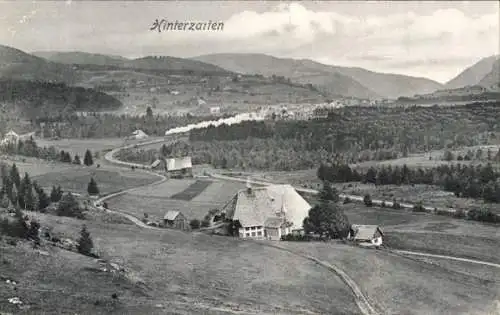 Ak Hinterzarten im Schwarzwald,  Häuser, Wiese, Berge