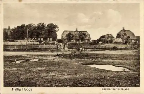 Ak Hallig Hooge in Nordfriesland, Reetdachhäuser, Gasthof zur Erholung