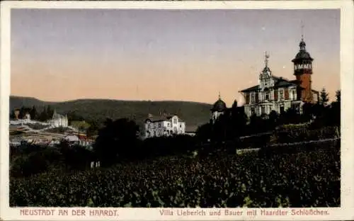 Ak Neustadt an der Haardt Neustadt an der Weinstraße, Villa Lieberich, Haardter Schlösschen