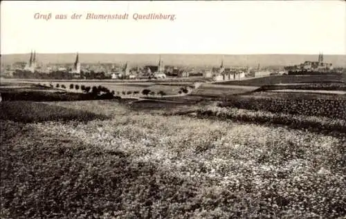 Ak Quedlinburg im Harz, Stadtansicht