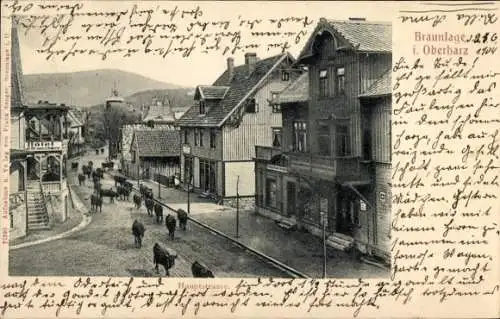 Ak Braunlage im Oberharz, Vorderansicht mit Straßenansicht, Häusern, Kühen, Bergen