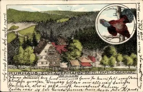 Ak Clausthal Zellerfeld Oberharz, Berggasthaus zum Auerhahn, Kurhaus Zum Auerhahn, bei  Bergla...