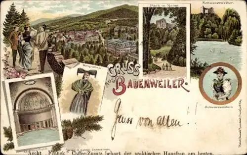 Ak Badenweiler im Schwarzwald, Postkarte mit Ansicht von  Schwäne, Grünanlagen, mehrere Bilder