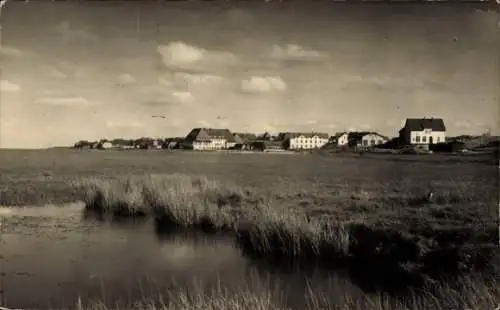 Ak Norddorf auf Amrum Nordfriesland, Landschaft, Wiese, Wasserfläche, Häuser im Hintergrund, h...