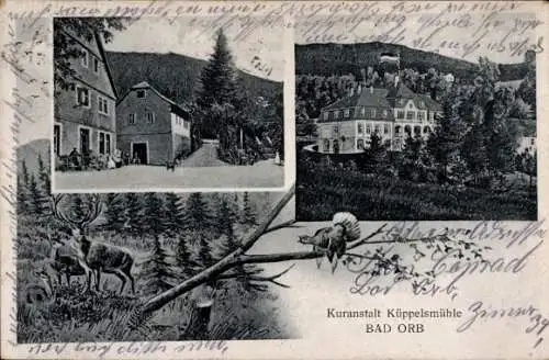 Ak Bad Orb im Spessart, Kuranstalt Küppelsmühle