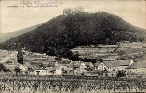 Ak Hambach Neustadt an der Weinstraße, Maxburg, Unterhambach, Weinberge