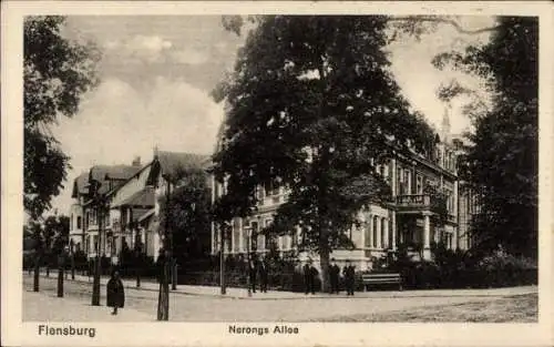 Ak Flensburg in Schleswig Holstein, Nehrongs Allee