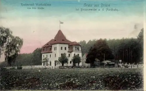 Ak Briese Birkenwerder im Kreis Oberhavel, Restaurant Waldschloss