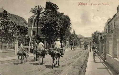 Ak Málaga Andalusien Spanien, Paseo de Sancha