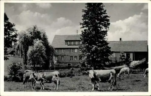 Ak Erbach im Odenwald Hessen, Pension Wiesen-Fleck