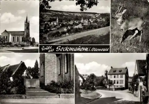 Ak Seckmauern Lützelbach im Odenwald Hessen, Gesamtansicht, Hirsch, Kirche