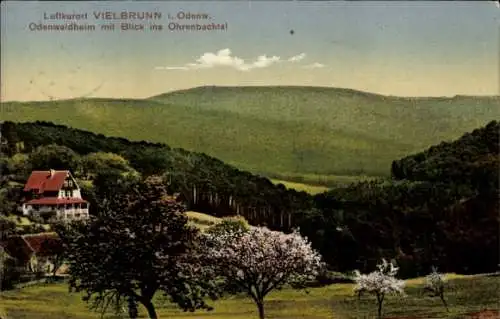 Ak Vielbrunn Michelstadt im Odenwald, Odenwaldheim, Ohrenbachtal