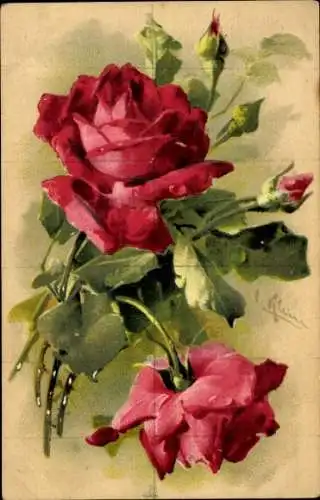 Präge Künstler Litho Klein, C., Rosen, Knospen