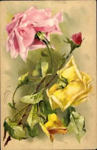 Präge Künstler Litho Klein, C., Rosen, Knospen