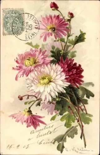 Künstler Ak Klein, Catharina, Chrysanthemen in verschiedenen Farben