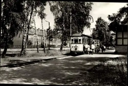 Ak Strausberg in der Mark,  Landhausstraße, Straßenbahn