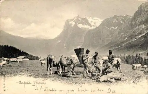 Ak Schweiz, Bauern auf der Alm, Kühe, Strohrucksack, Alpen