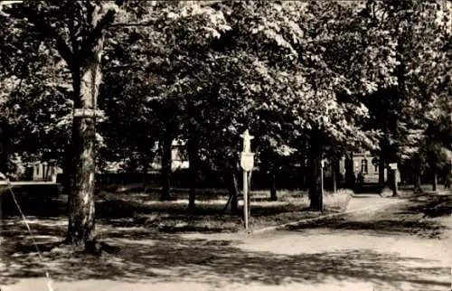 Ak Niederplanitz Planitz Zwickau in Sachsen, Karl-Marx-Platz