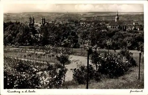 Ak Naumburg an der Saale, Blick auf die Stadt Naumburg an der Saale mit den Türmen der beiden ...