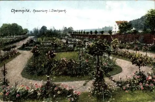 Ak Chemnitz in Sachsen, Rosarium, Stadtpark