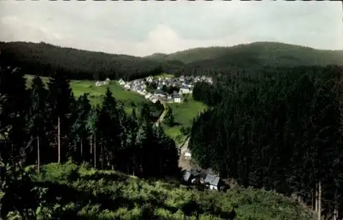 Ak Silberstein Geroldsgrün in Oberfranken, Sommertrische Silberstein i. Frankenwald